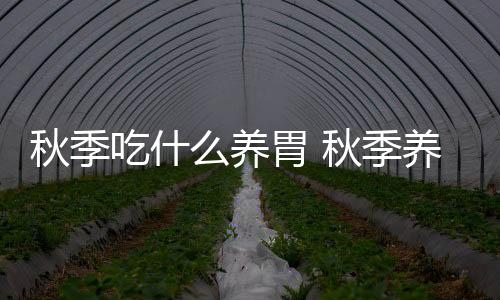 秋季吃什么养胃 秋季养胃的食物有哪些？