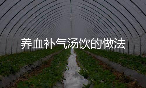 养血补气汤饮的做法