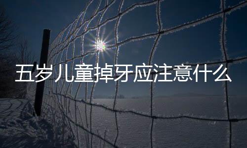 五岁儿童掉牙应注意什么