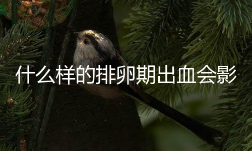 什么样的排卵期出血会影响怀孕