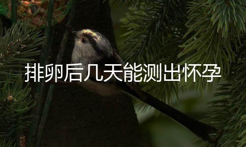 排卵后几天能测出怀孕