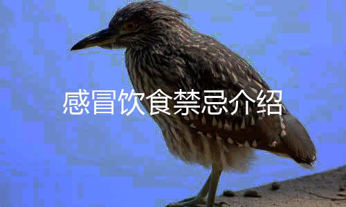 感冒饮食禁忌介绍