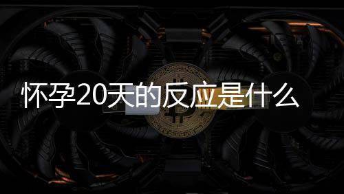 怀孕20天的反应是什么