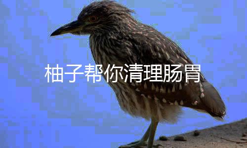 柚子帮你清理肠胃