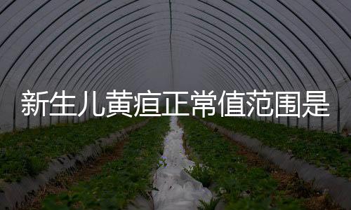 新生儿黄疸正常值范围是多少