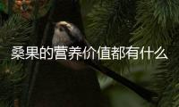 桑果的营养价值都有什么