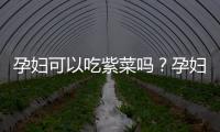 孕妇可以吃紫菜吗？孕妇能不能吃紫菜