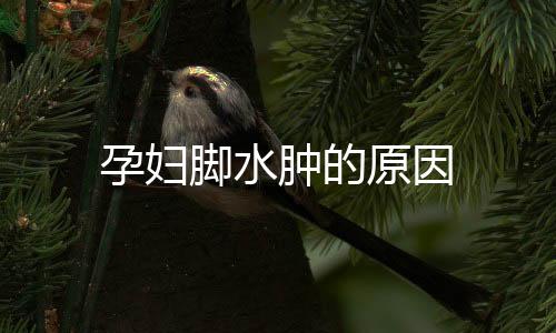 孕妇脚水肿的原因