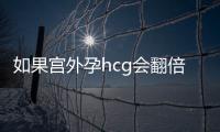 如果宫外孕hcg会翻倍吗