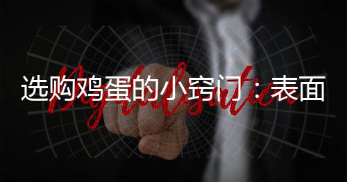 选购鸡蛋的小窍门：表面粗糙的更好