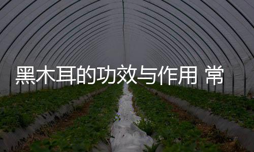 黑木耳的功效与作用 常吃增强免疫力防心血管疾病